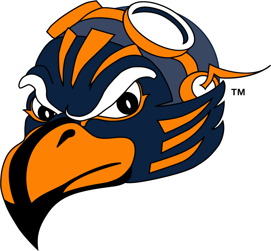 Tennessee-Martin Skyhawks 2007-2020 Mascot Logo iron on transfers for T-shirts